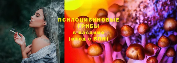 твердый Арсеньев