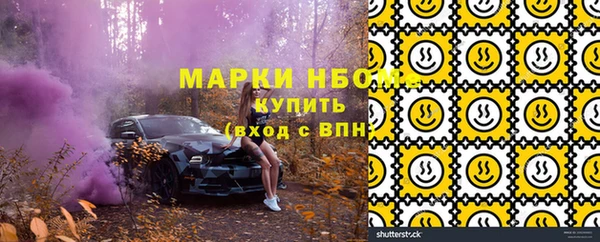 твердый Арсеньев