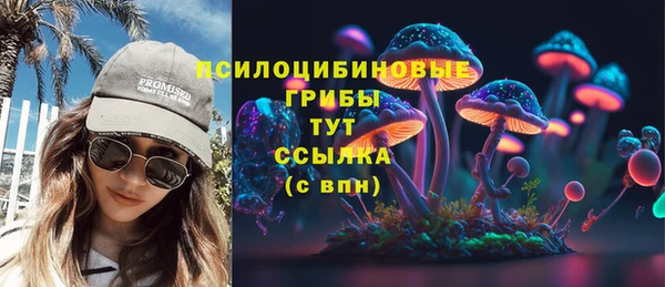 твердый Арсеньев