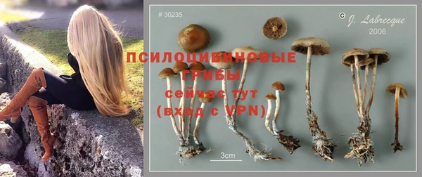 твердый Арсеньев