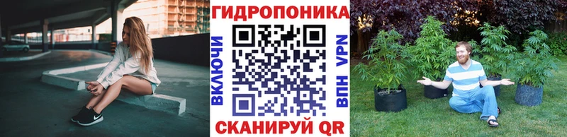 Каннабис гибрид  Славск 